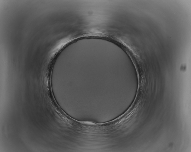 X0000098001455200804211118