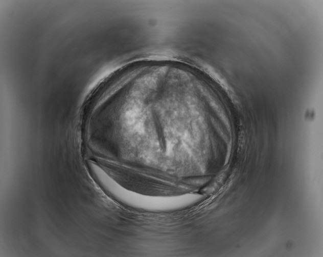 X0000098001456200804211118