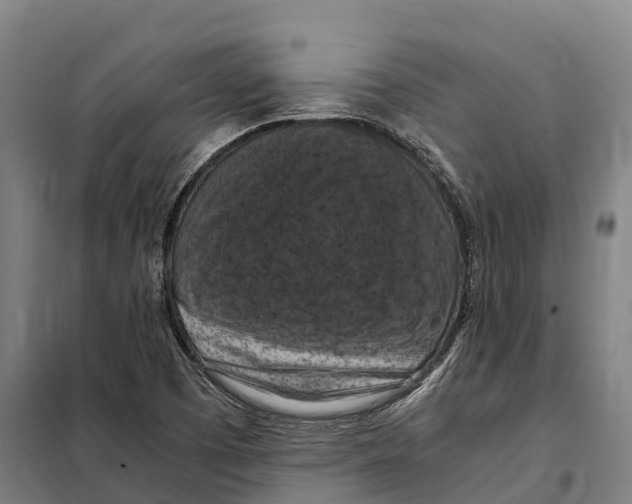 X0000098001457200804211118