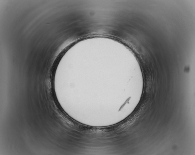 X0000098001458200804211118
