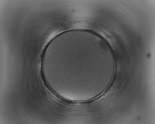 X0000098001459200804211118