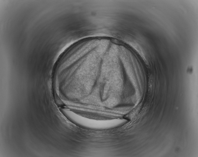 X0000098001460200804211118