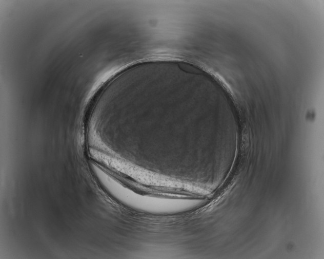 X0000098001461200804211118