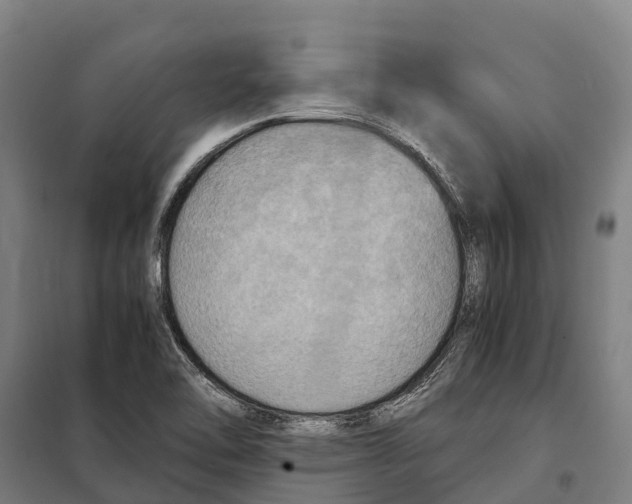 X0000098001462200804211118