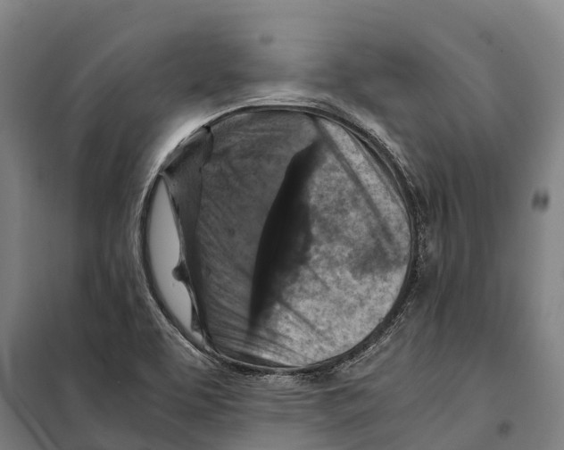 X0000098001463200804211118