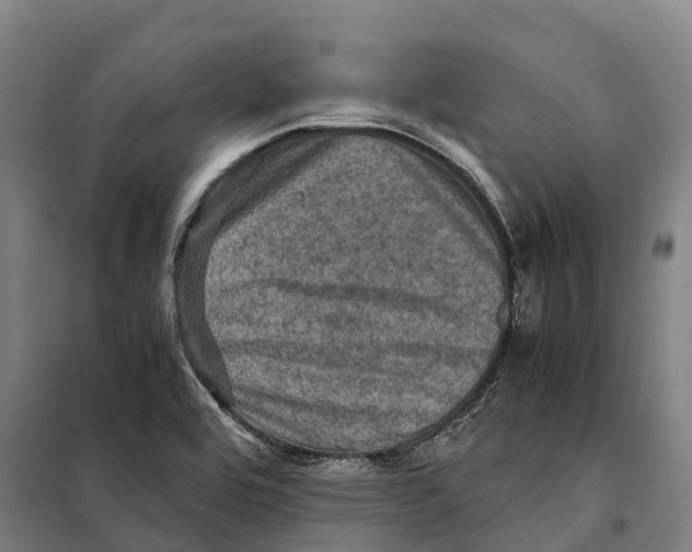 X0000098001464200804211118