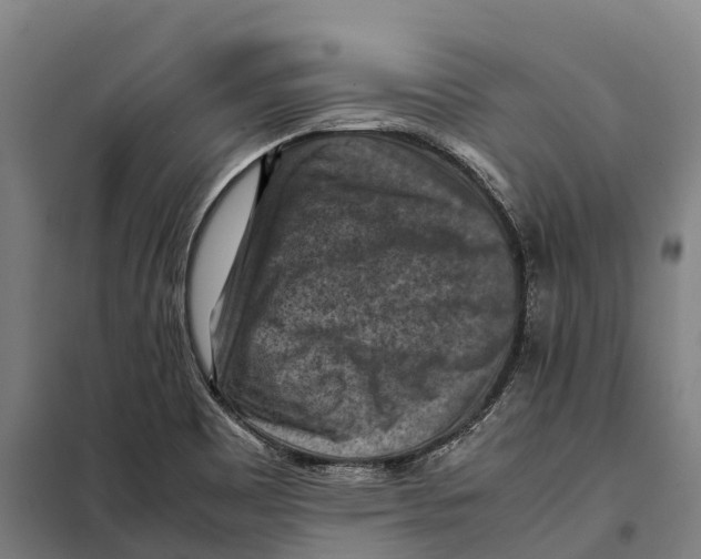 X0000098001465200804211118