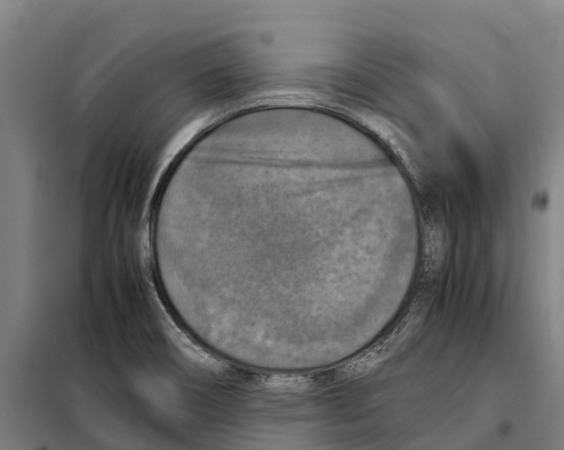 X0000098001466200804211118