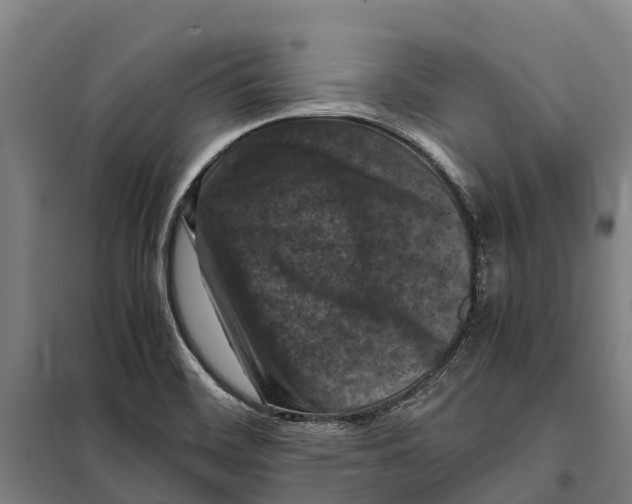 X0000098001468200804211118
