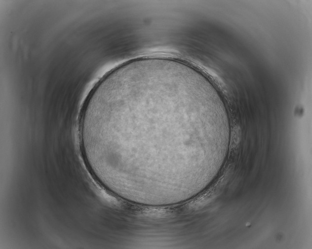 X0000098001470200804211118