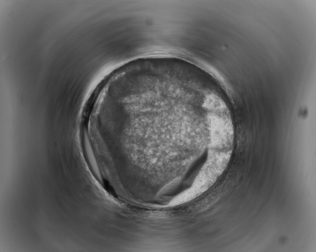 X0000098001472200804211118