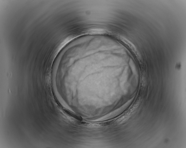 X0000098001473200804211118