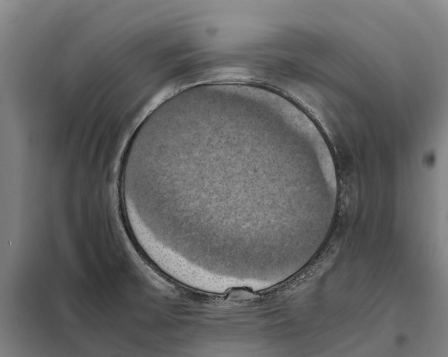 X0000098001475200804211118