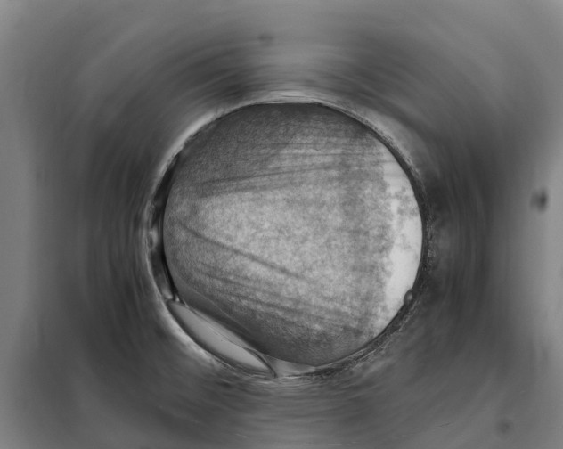 X0000098001476200804211118