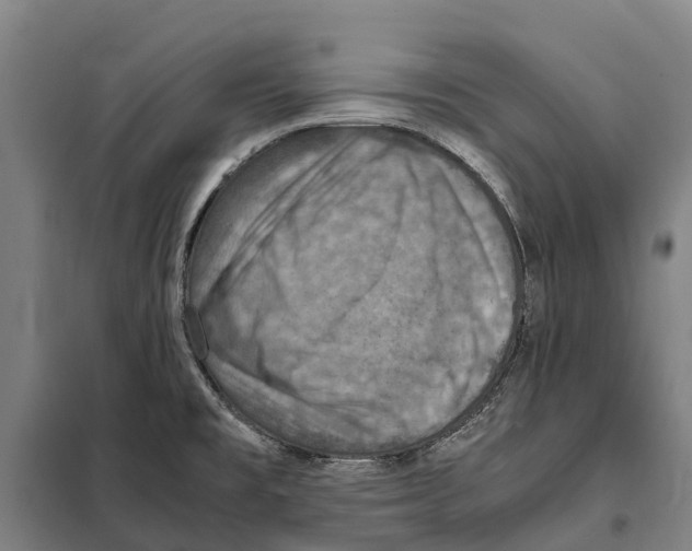 X0000098001477200804211118
