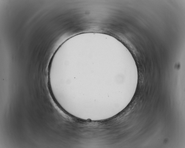 X0000098001479200804211118