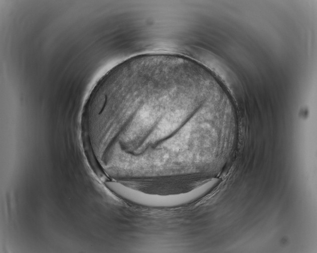 X0000098001480200804211118