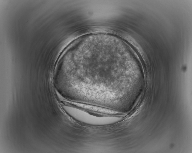 X0000098001481200804211118