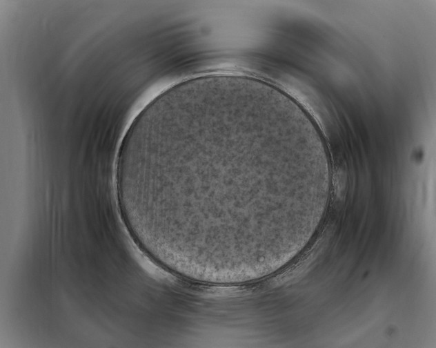 X0000098001482200804211118