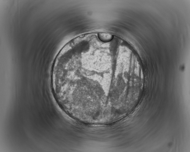 X0000098001483200804211118