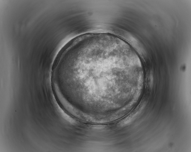 X0000098001484200804211118