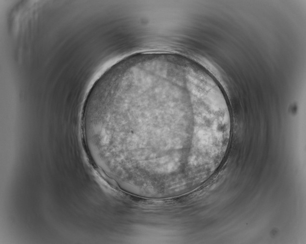 X0000098001485200804211118