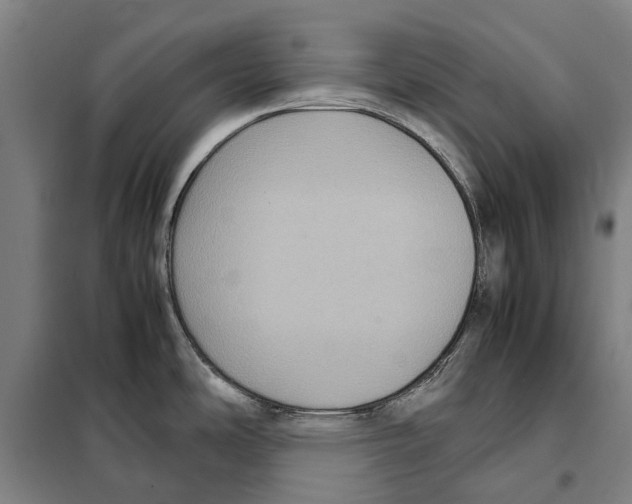 X0000098001486200804211118