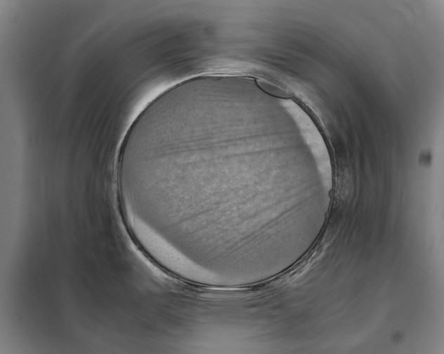 X0000098001487200804211118