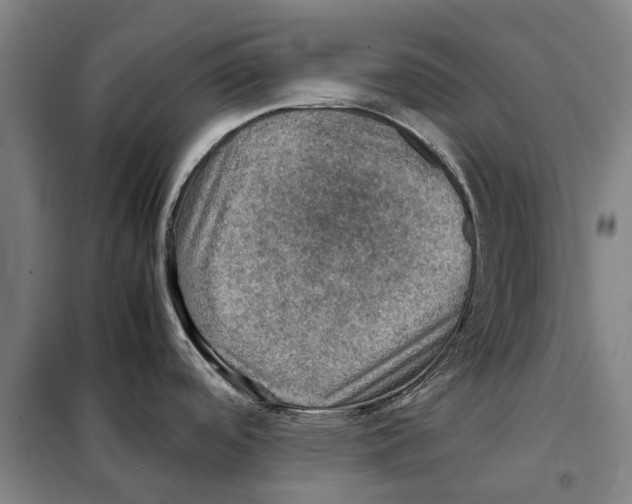 X0000098001488200804211118