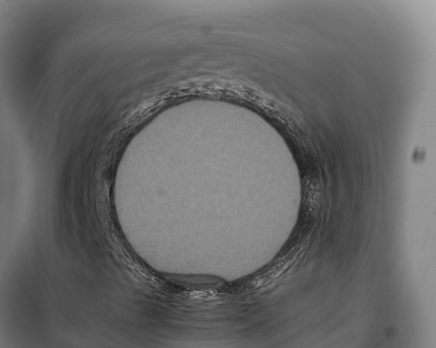 X0000098001489200804211117