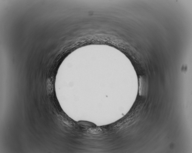 X0000098001491200804211117