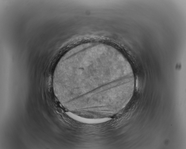 X0000098001492200804211117
