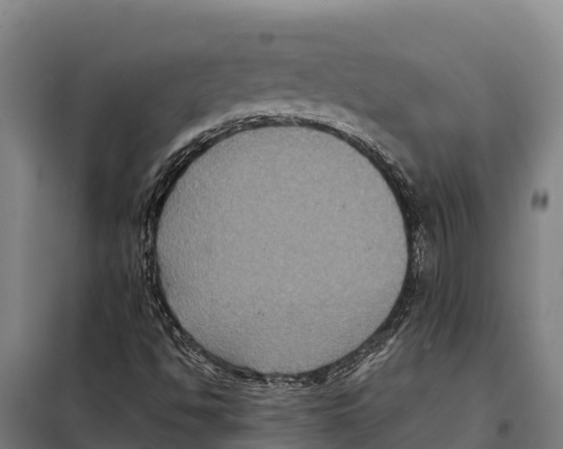 X0000098001494200804211117