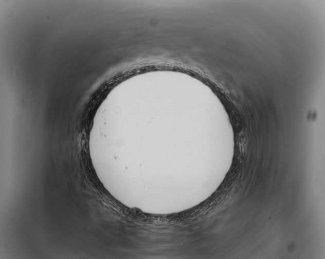 X0000098001495200804211117