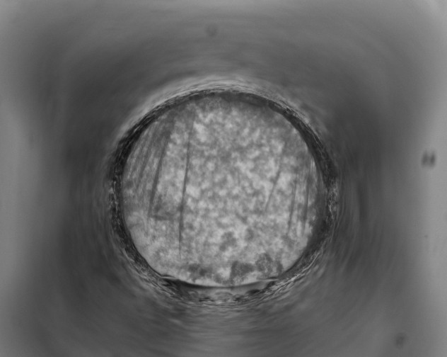 X0000098001496200804211117