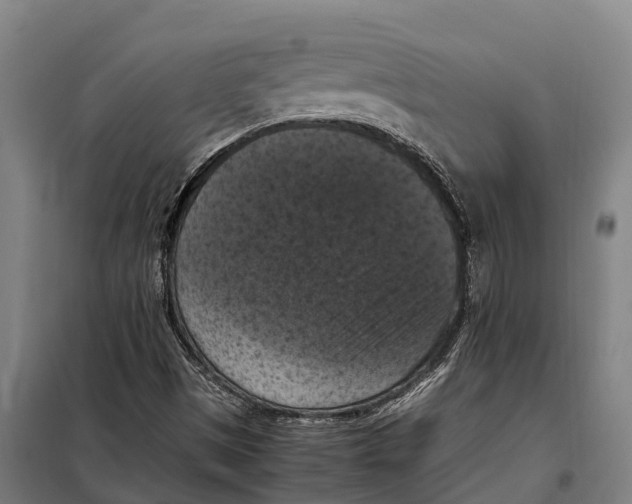 X0000098001497200804211117