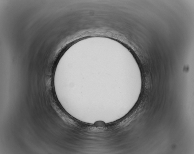X0000098001499200804211117