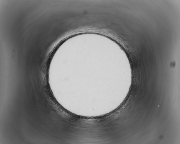 X0000098001502200804211117