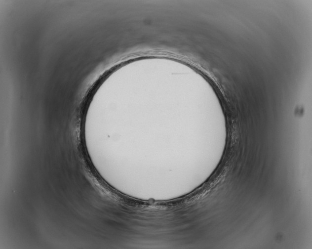 X0000098001503200804211117