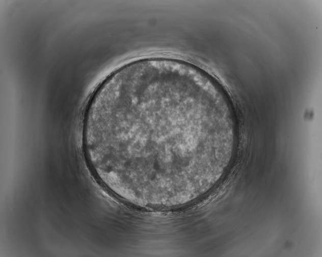 X0000098001504200804211117
