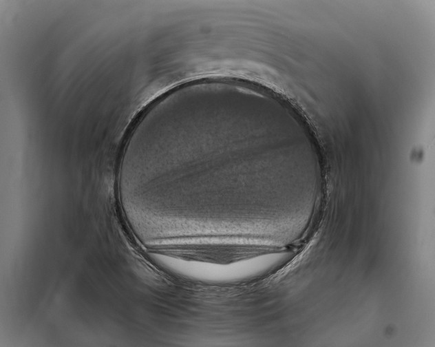 X0000098001505200804211117