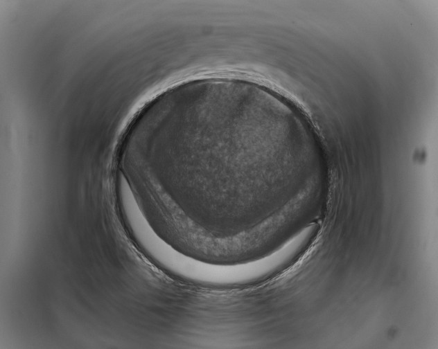 X0000098001506200804211117