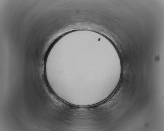 X0000098001507200804211117