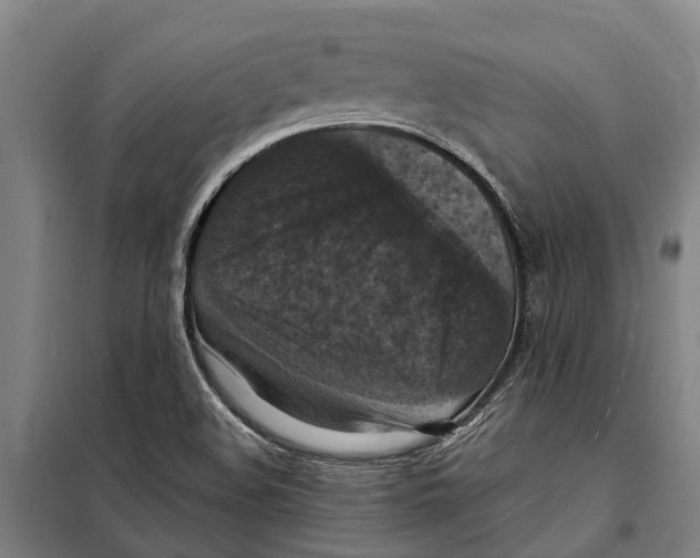 X0000098001508200804211117