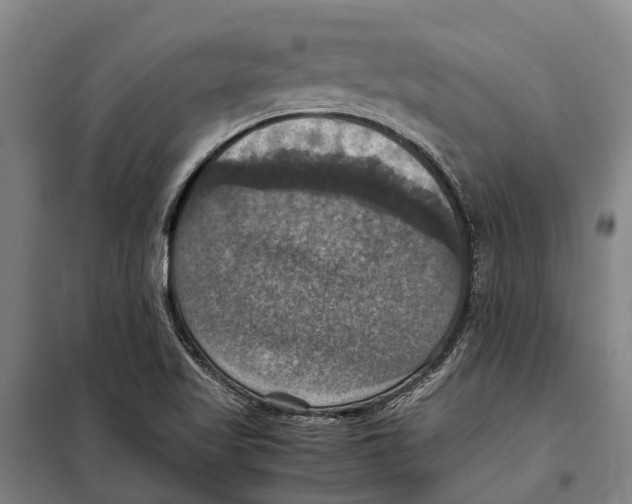 X0000098001509200804211117