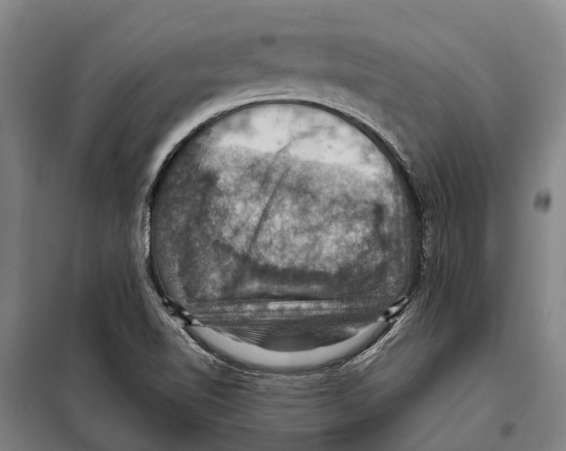 X0000098001510200804211117
