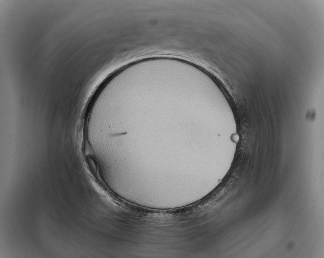X0000098001511200804211117