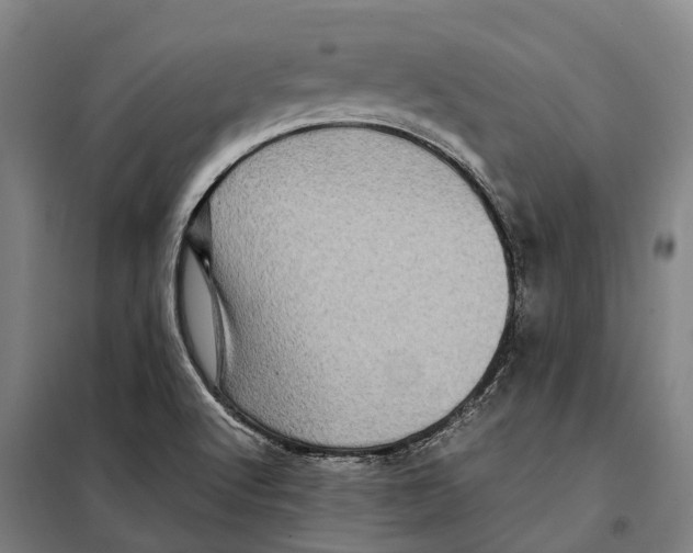 X0000098001512200804211117
