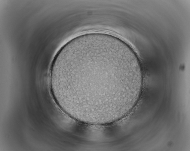 X0000098001514200804211117