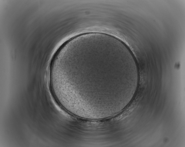 X0000098001515200804211117